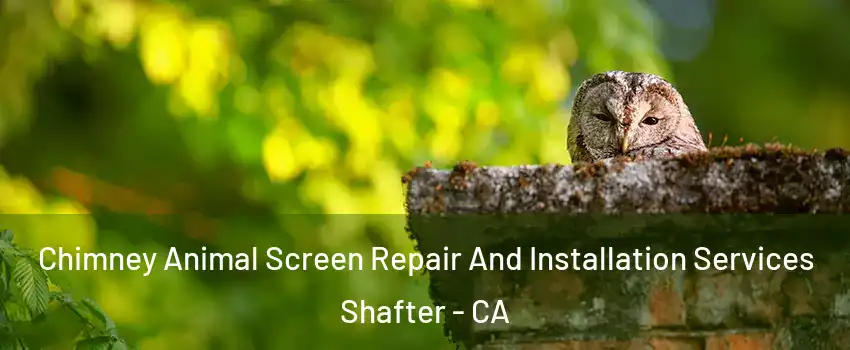  Chimney Animal Screen Repair And Installation Services Shafter - CA