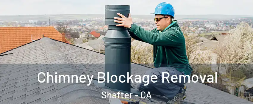 Chimney Blockage Removal Shafter - CA