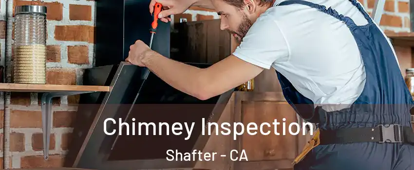  Chimney Inspection Shafter - CA