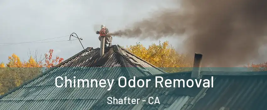  Chimney Odor Removal Shafter - CA