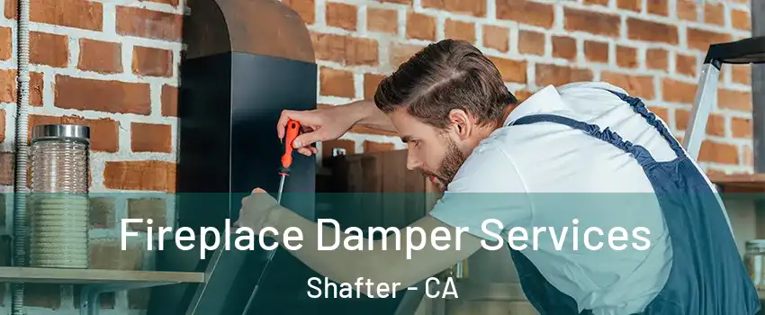  Fireplace Damper Services Shafter - CA