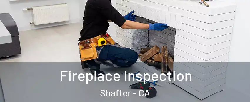  Fireplace Inspection Shafter - CA