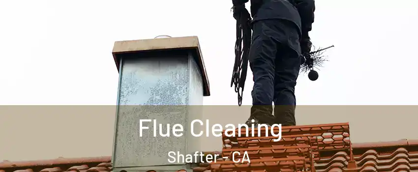  Flue Cleaning Shafter - CA