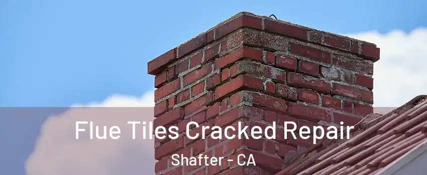  Flue Tiles Cracked Repair Shafter - CA