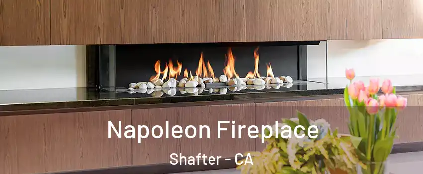 Napoleon Fireplace Shafter - CA